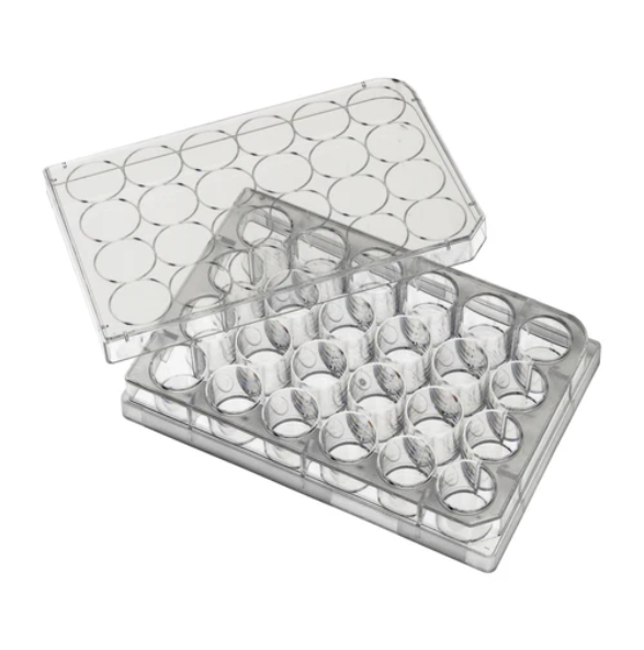 Placa para cultivo de 24 pozos. Modelo 07-6024 – RORER