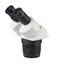 Cargar imagen en el visor de la galería, Microscopio estereoscópico binocular. Modelo XT60-2L
