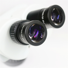Cargar imagen en el visor de la galería, Microscopio estereoscópico binocular. Modelo XT60-2L
