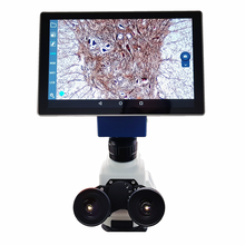 Cargar imagen en el visor de la galería, Microscopio digital con Tablet integrada. Modelo VE-300 PAD